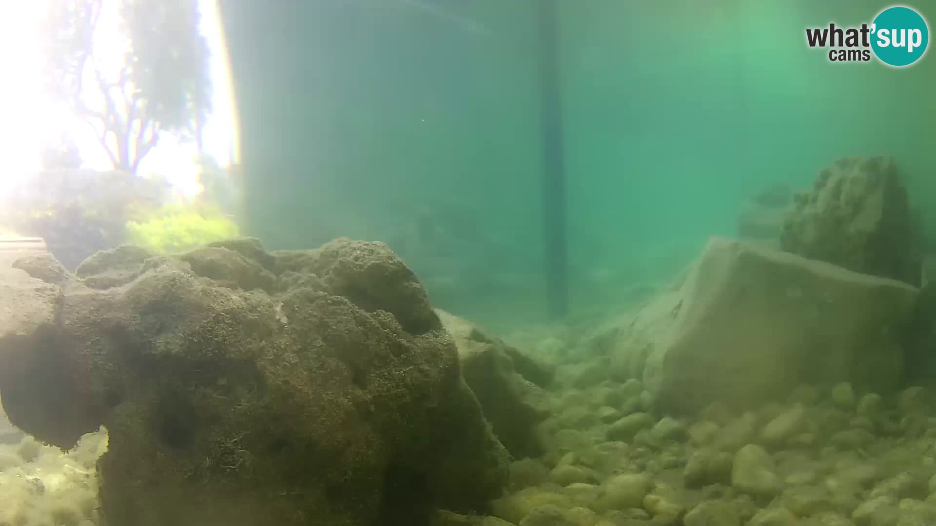 Webcam de l’aquarium marin extérieur de Rogoznica Croatie