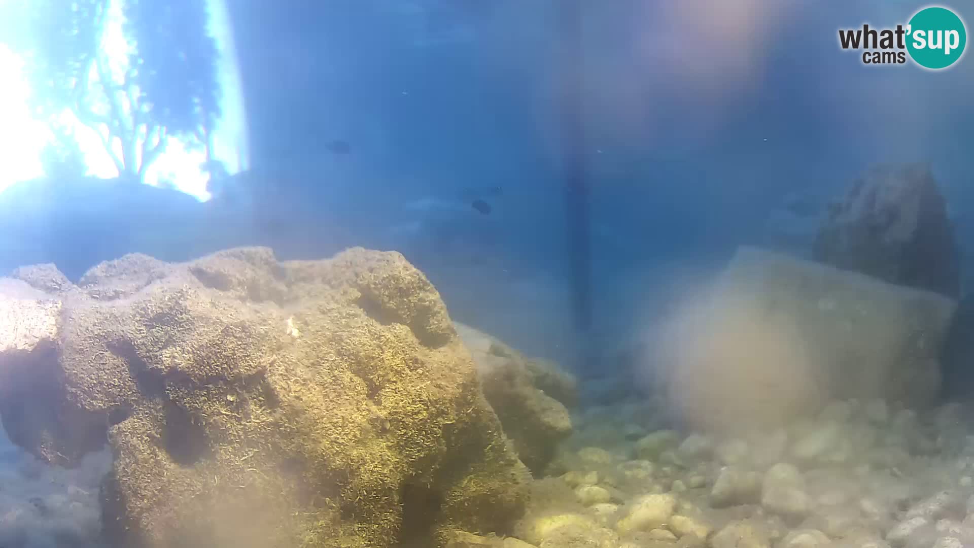 Outdoor Marine Aquarium Rogoznica webcam Croatia