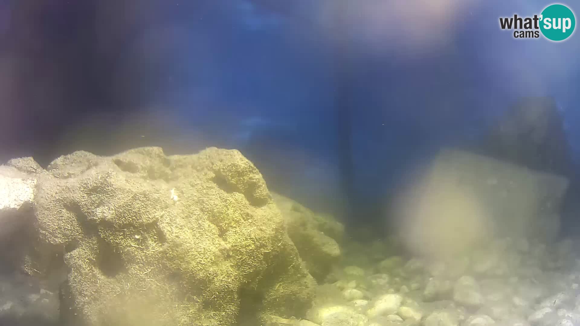 Acuario marino al aire libre Rogoznica webcam Croacia