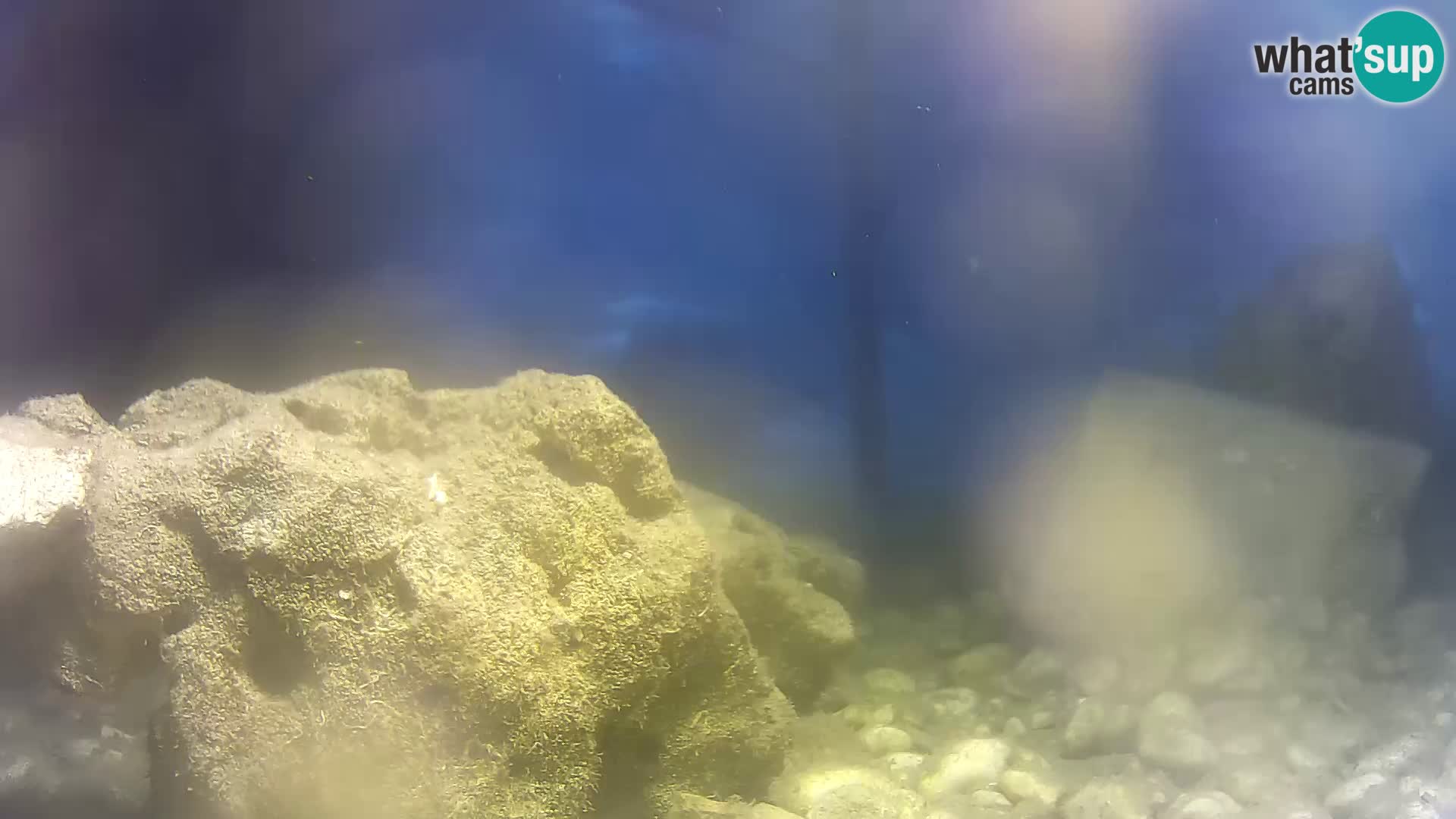Webcam de l’aquarium marin extérieur de Rogoznica Croatie