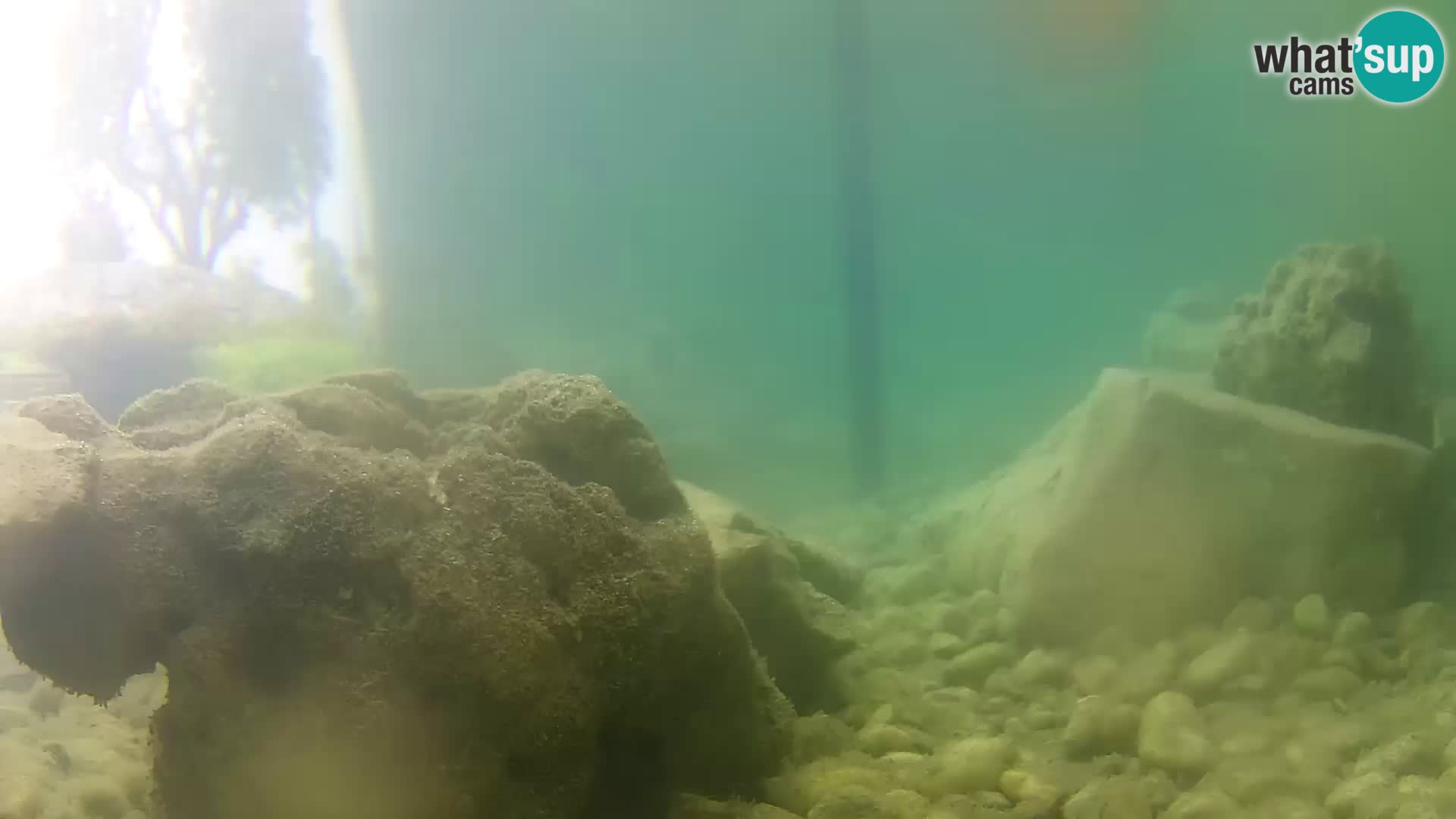 Outdoor Marine Aquarium Rogoznica webcam Croatia
