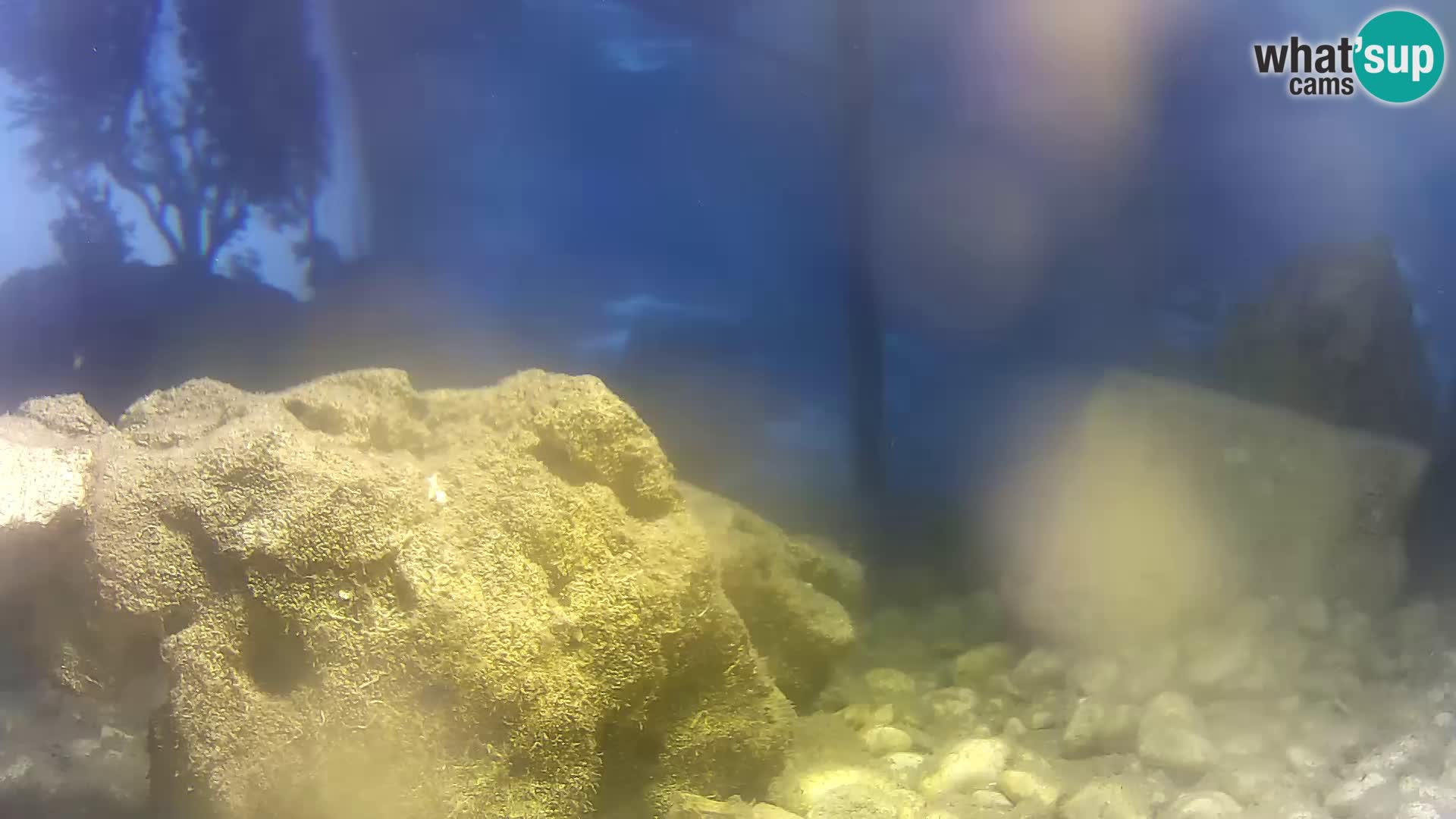 Outdoor Marine Aquarium Rogoznica webcam Croatia