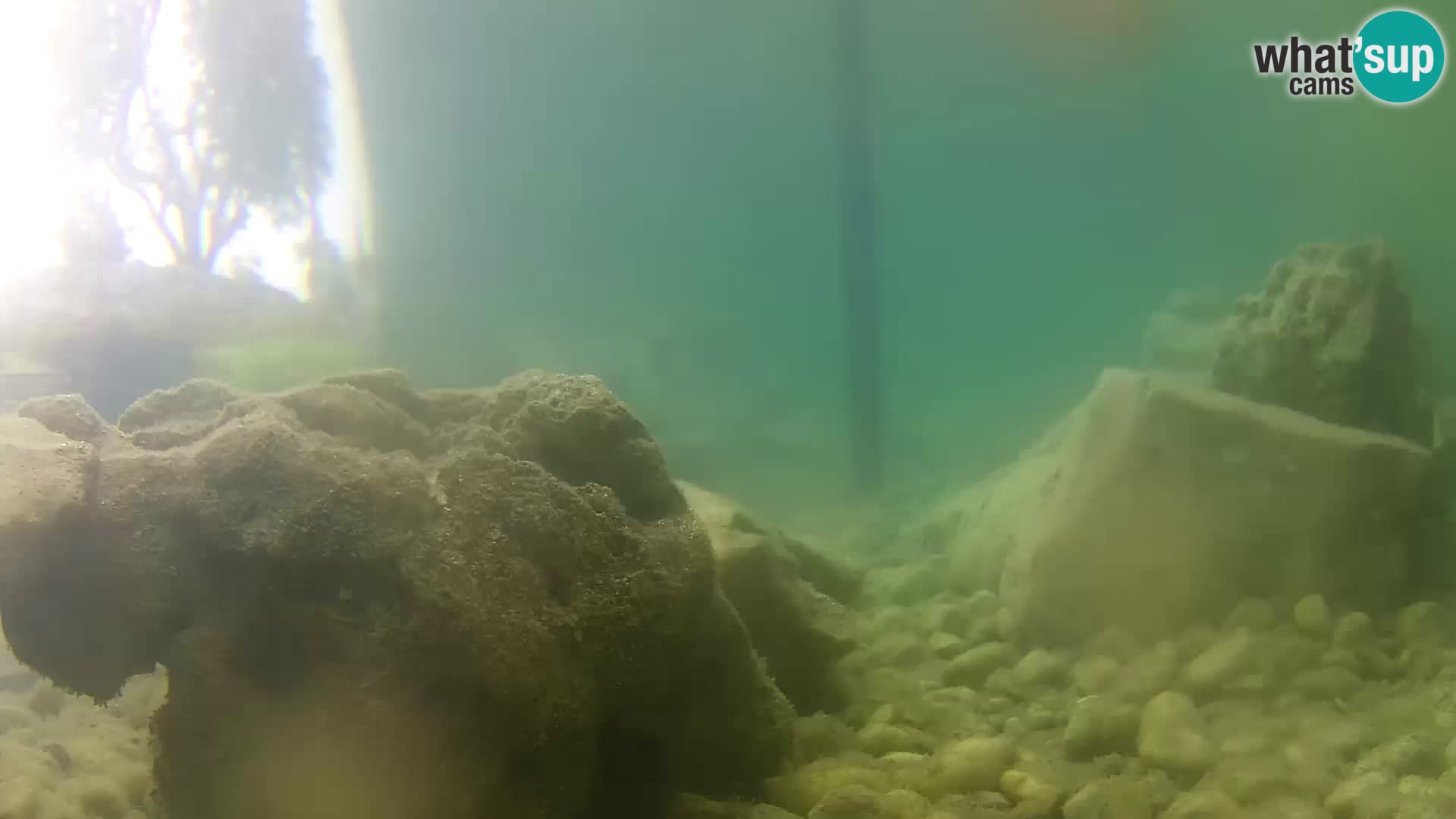 Acuario marino al aire libre Rogoznica webcam Croacia