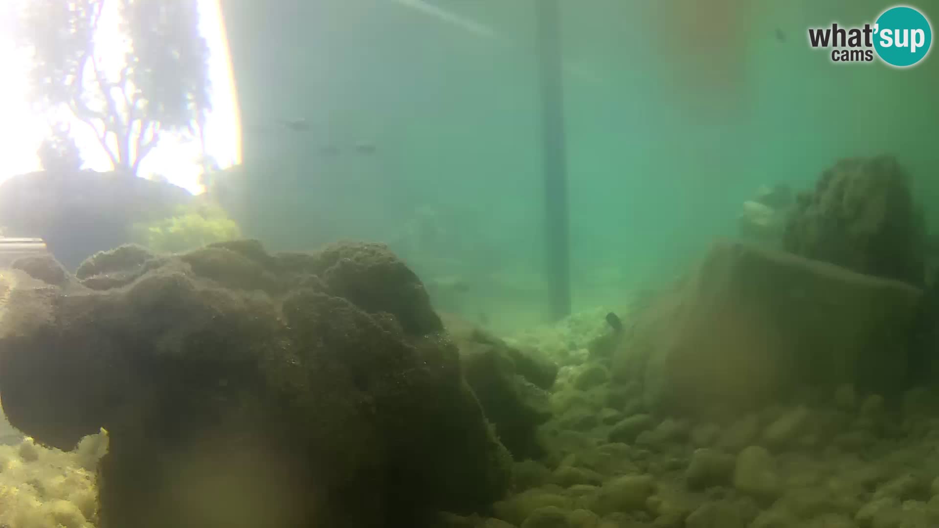 Marine Aquarium im Freien Rogoznica webcam Kroatien