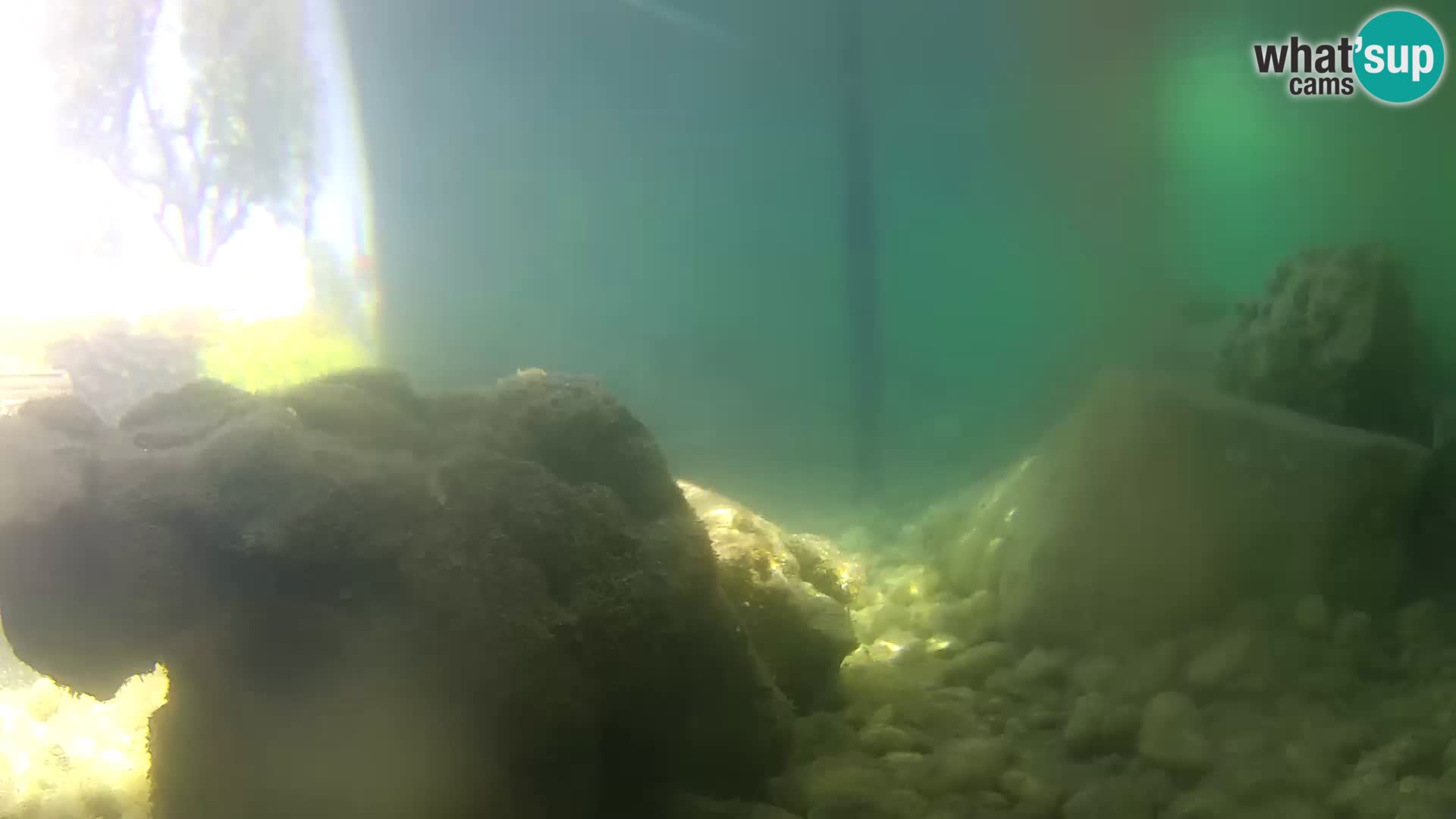 Acuario marino al aire libre Rogoznica webcam Croacia