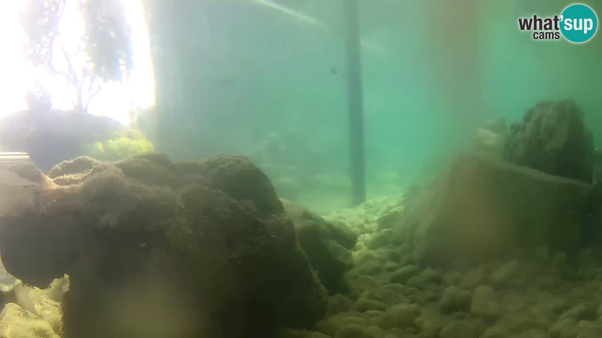 Webcam de l’aquarium marin extérieur de Rogoznica Croatie