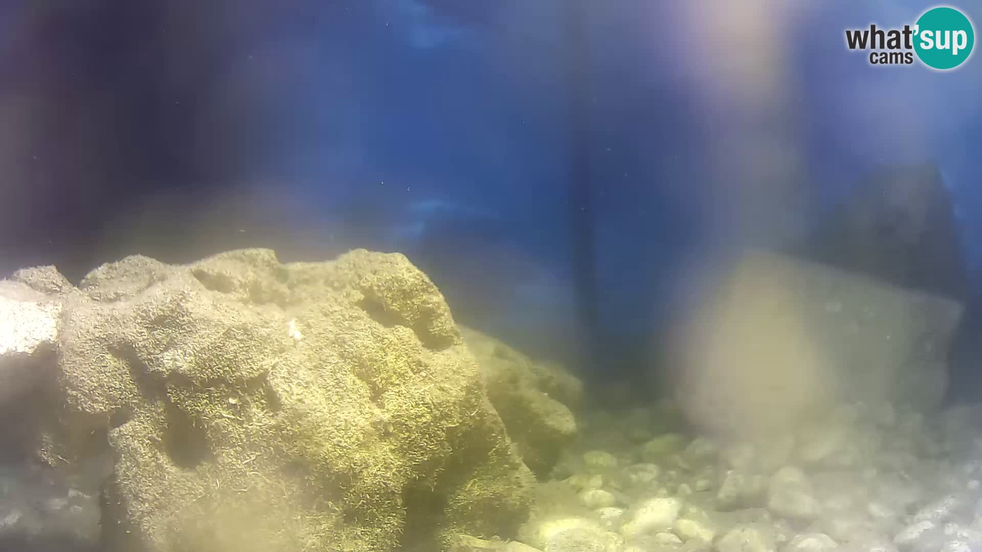 Marine Aquarium im Freien Rogoznica webcam Kroatien
