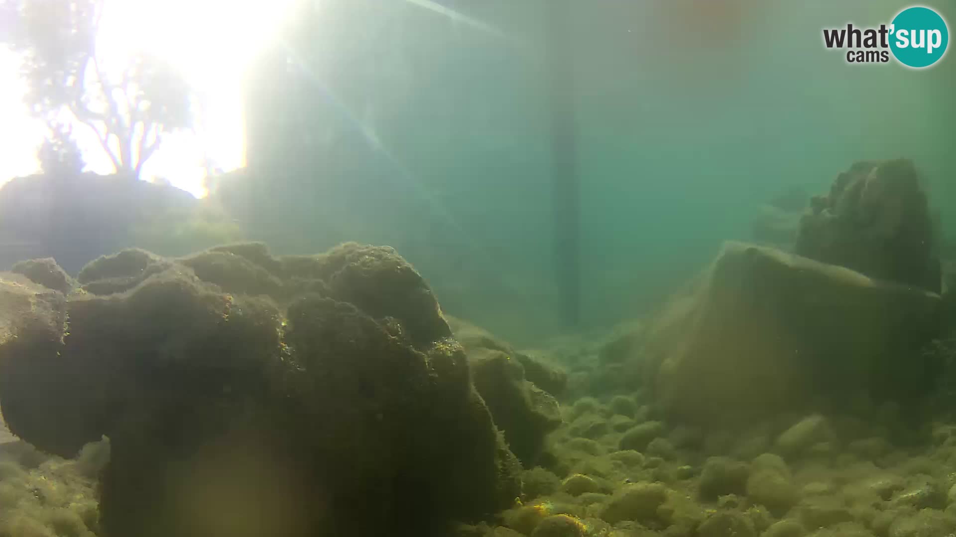 Outdoor Marine Aquarium Rogoznica webcam Croatia