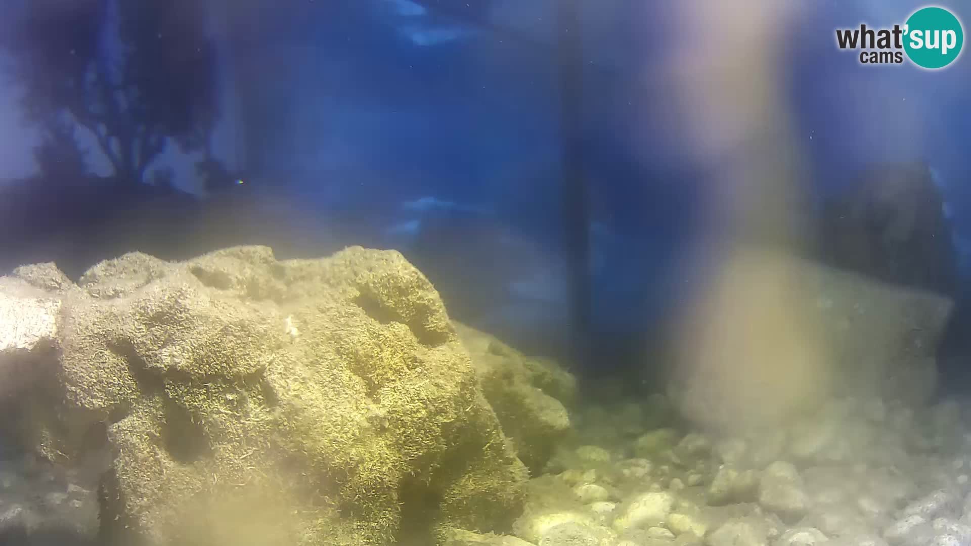 Marine Aquarium im Freien Rogoznica webcam Kroatien