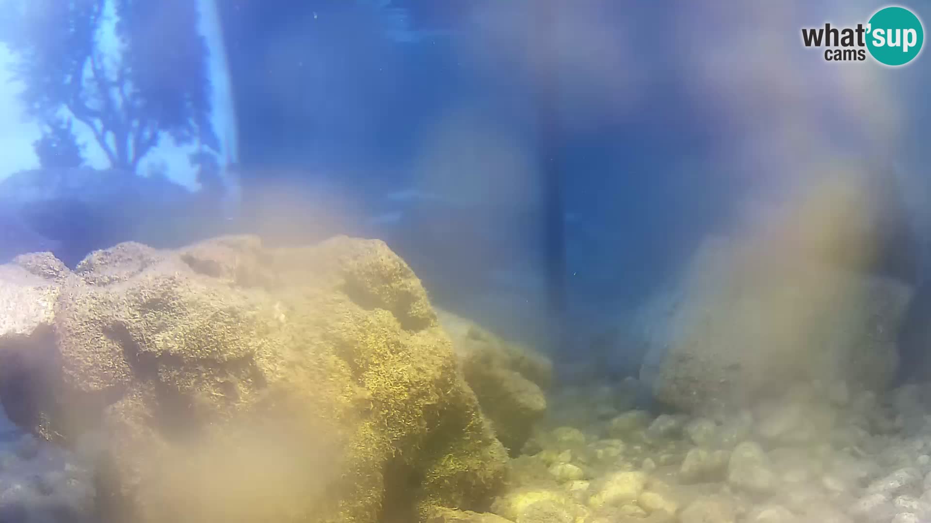 Webcam de l’aquarium marin extérieur de Rogoznica Croatie