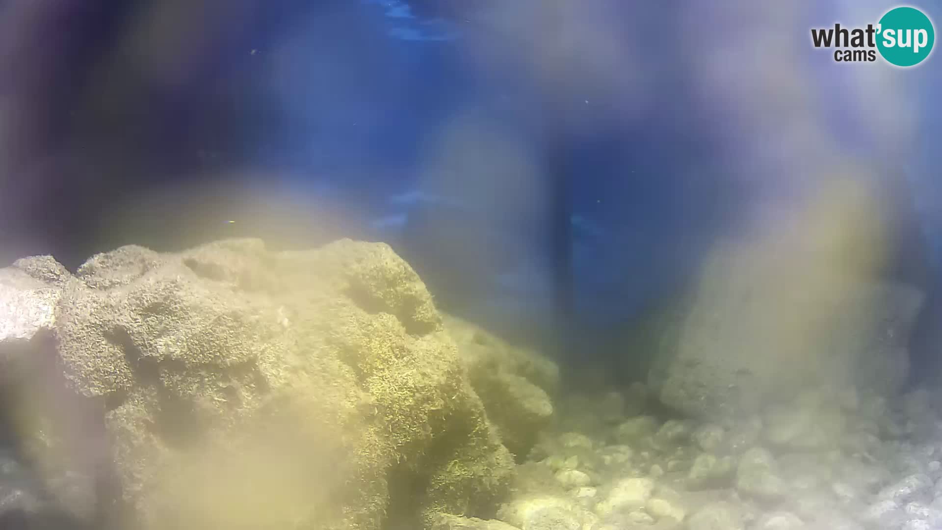Outdoor Marine Aquarium Rogoznica webcam Croatia