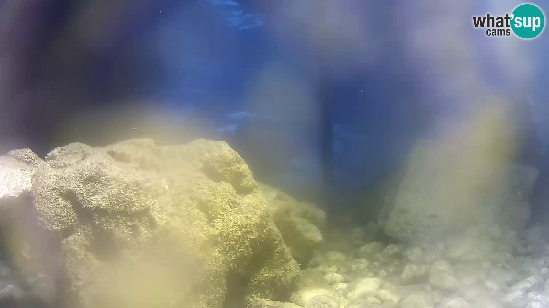 Outdoor Marine Aquarium Rogoznica webcam Croatia