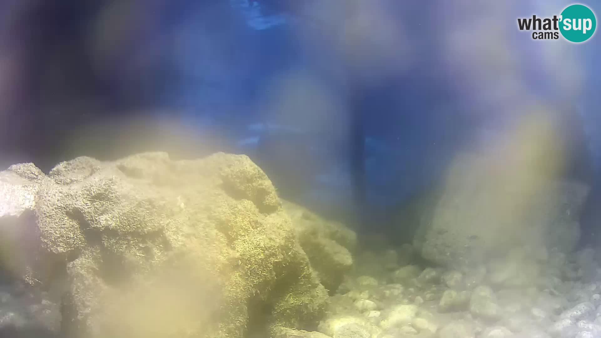 Outdoor Marine Aquarium Rogoznica webcam Croatia