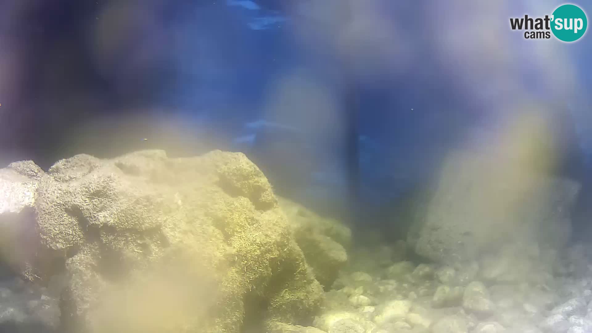 Outdoor Marine Aquarium Rogoznica webcam Croatia