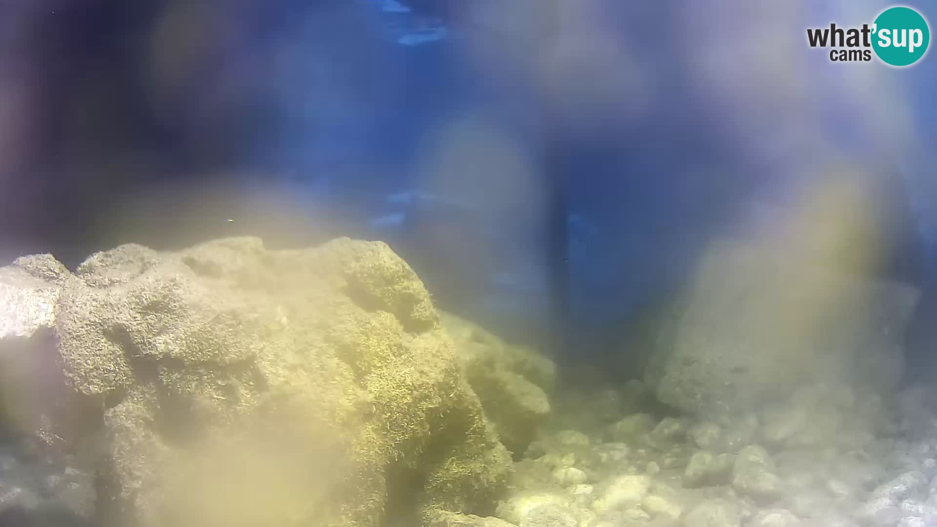 Marine Aquarium im Freien Rogoznica webcam Kroatien