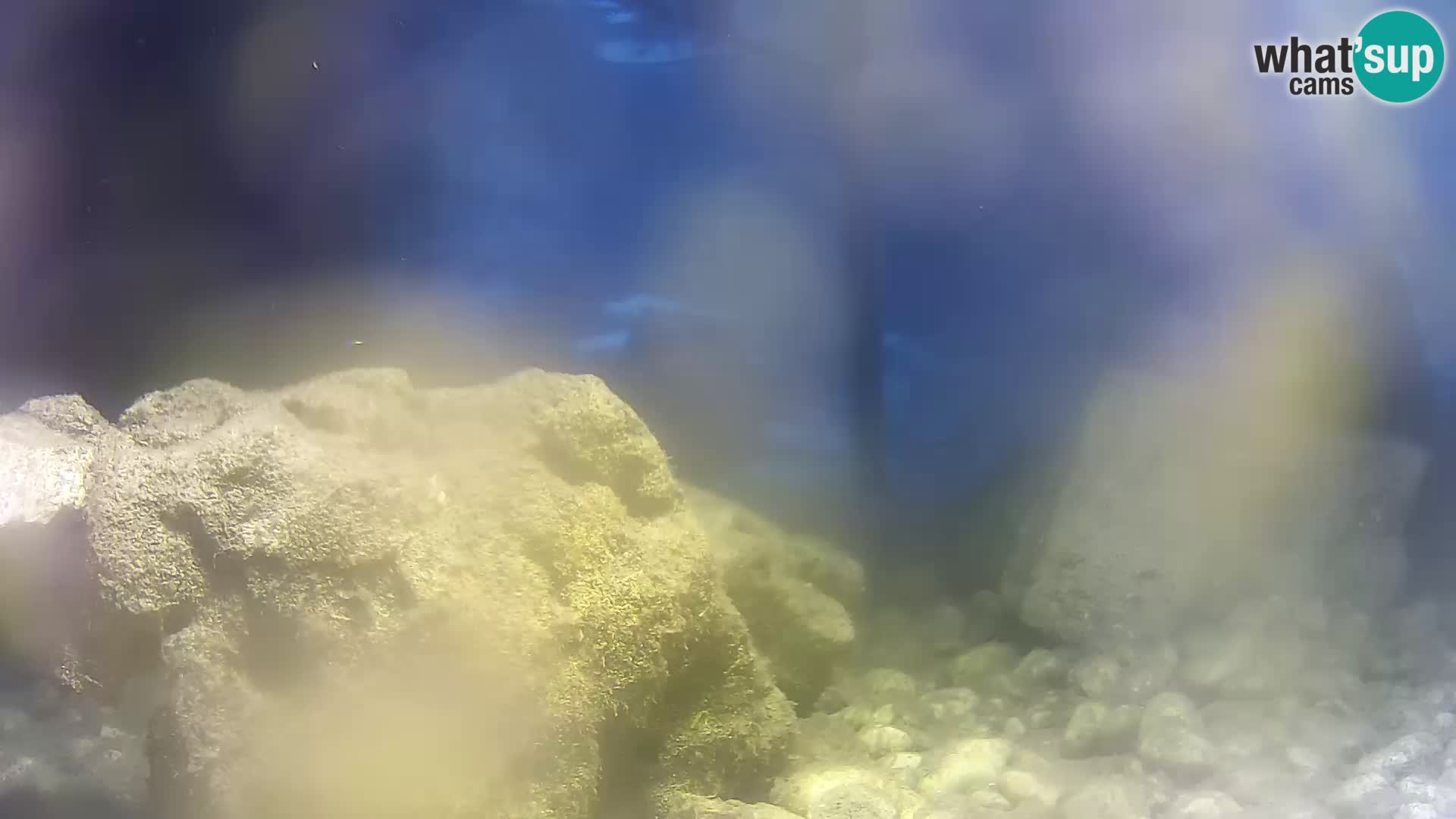 Webcam de l’aquarium marin extérieur de Rogoznica Croatie