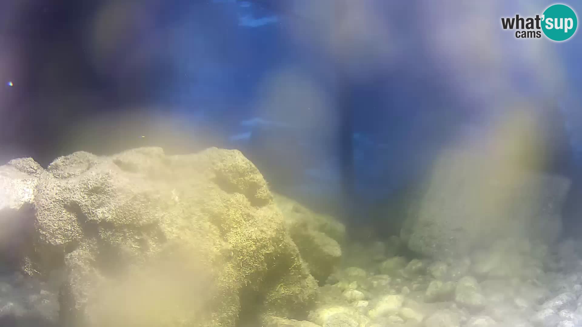 Webcam de l’aquarium marin extérieur de Rogoznica Croatie