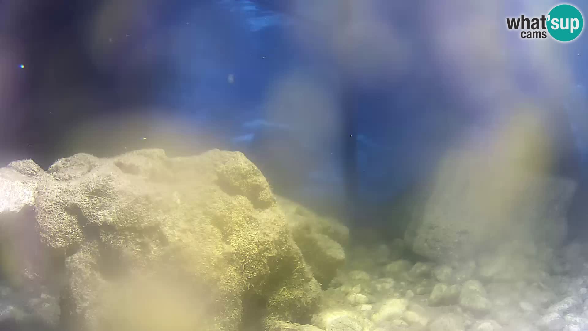 Webcam de l’aquarium marin extérieur de Rogoznica Croatie