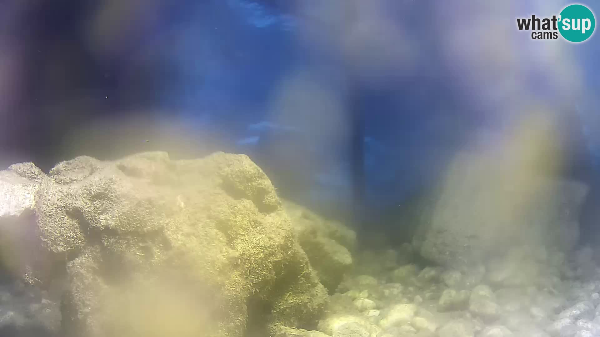 Webcam de l’aquarium marin extérieur de Rogoznica Croatie