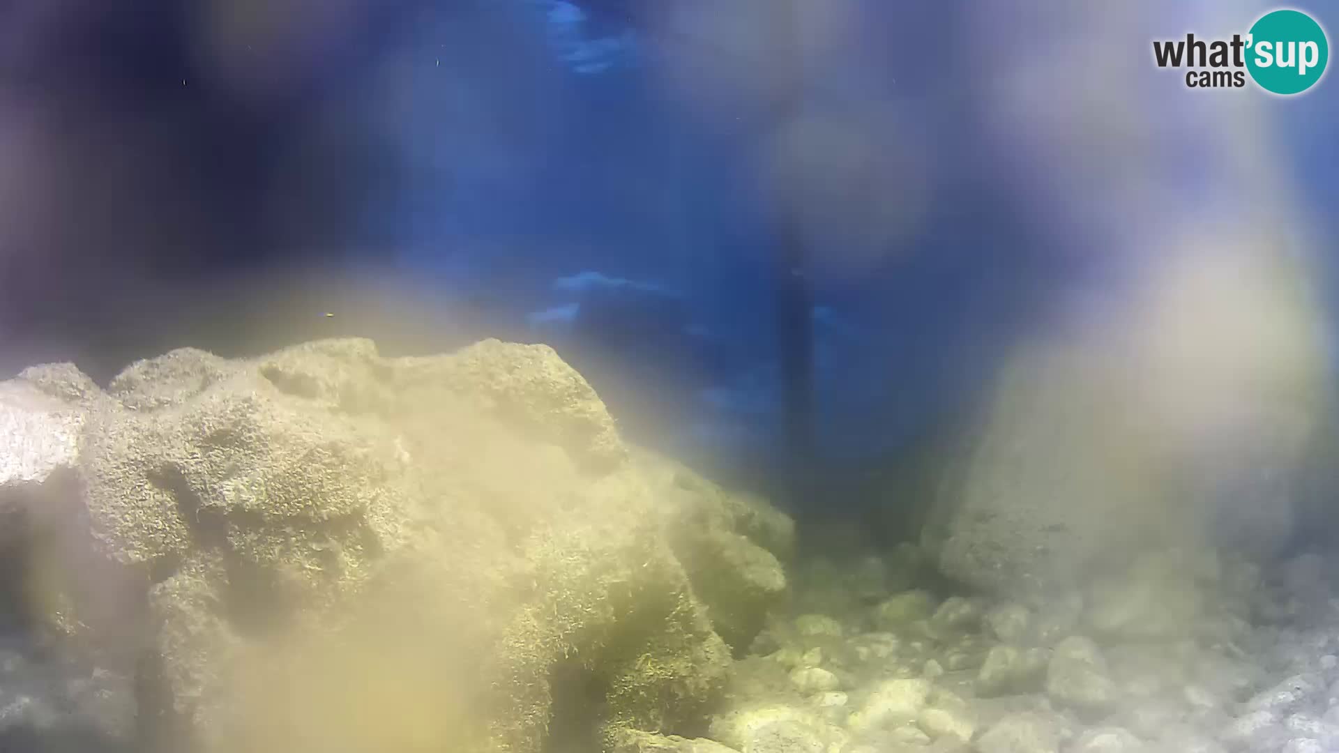 Outdoor Marine Aquarium Rogoznica webcam Croatia