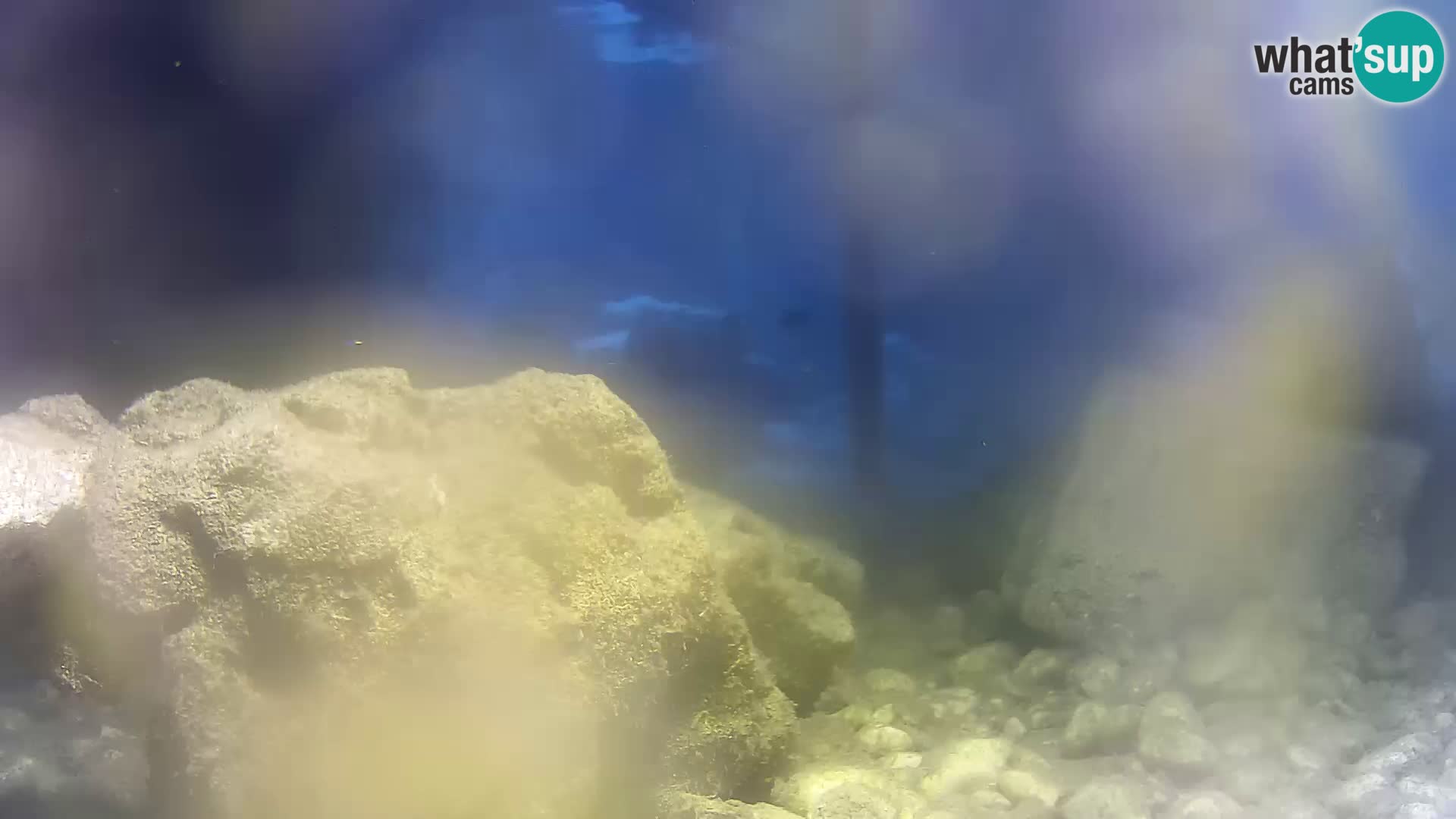 Webcam de l’aquarium marin extérieur de Rogoznica Croatie
