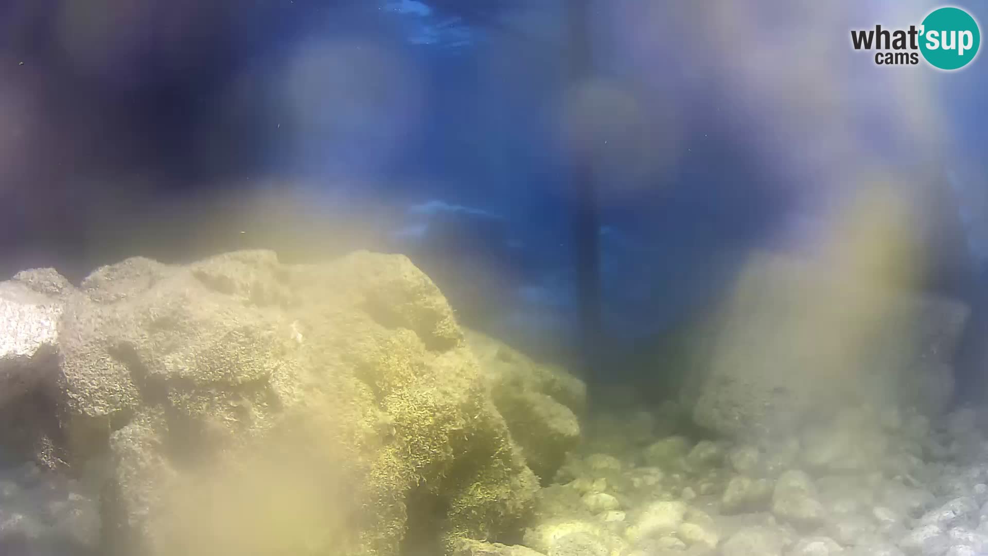 Outdoor Marine Aquarium Rogoznica webcam Croatia