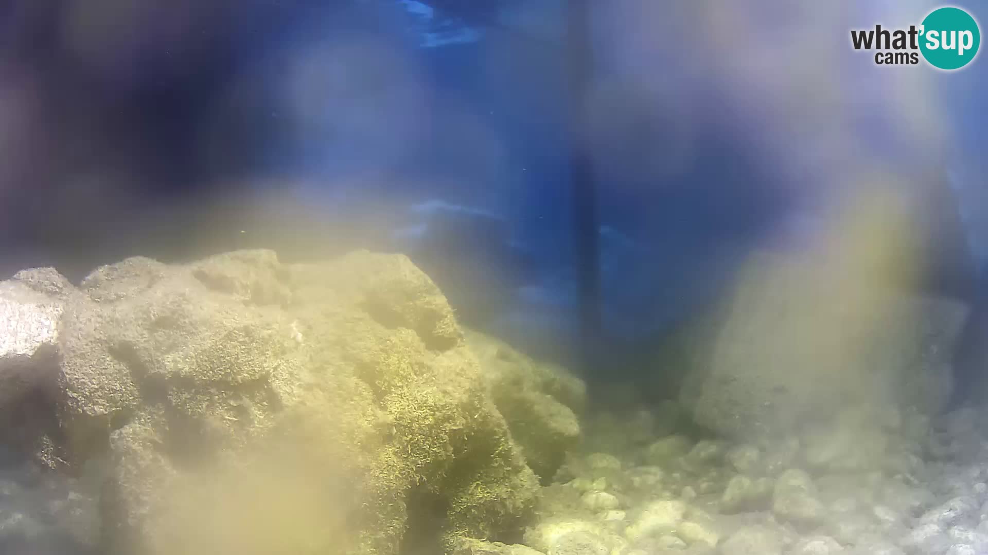 Outdoor Marine Aquarium Rogoznica webcam Croatia
