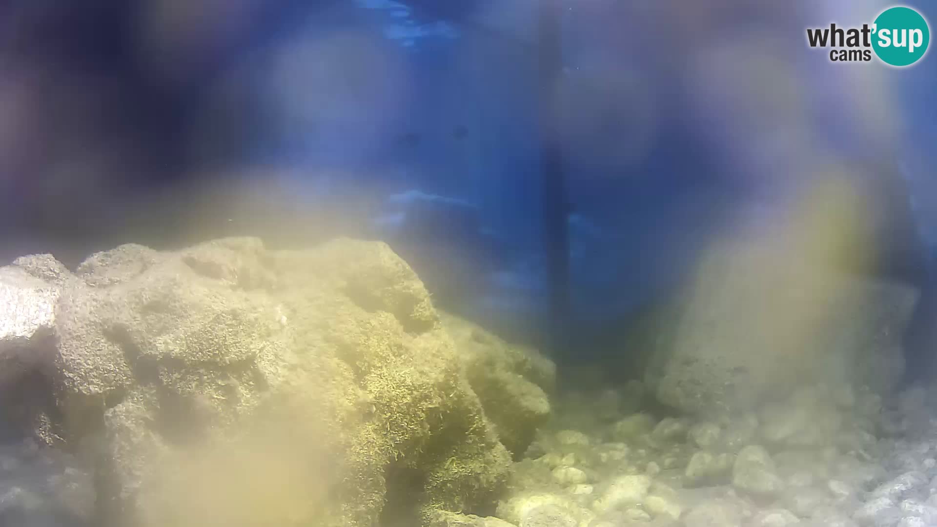 Outdoor Marine Aquarium Rogoznica webcam Croatia