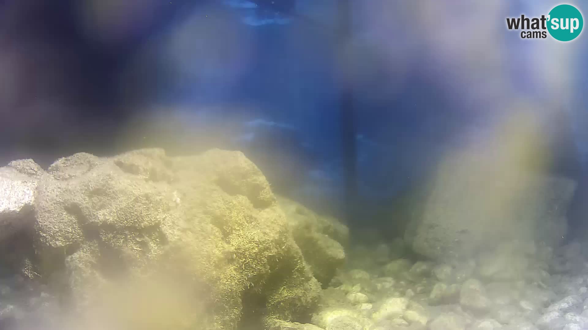 Outdoor Marine Aquarium Rogoznica webcam Croatia