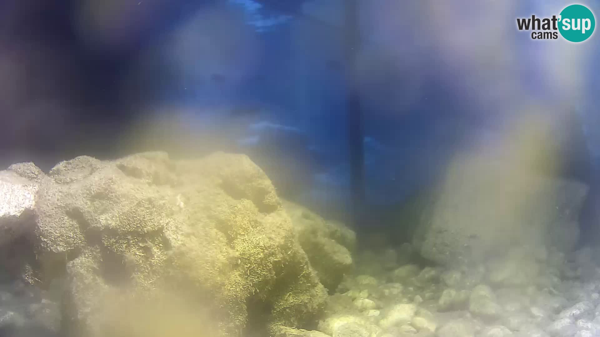 Outdoor Marine Aquarium Rogoznica webcam Croatia