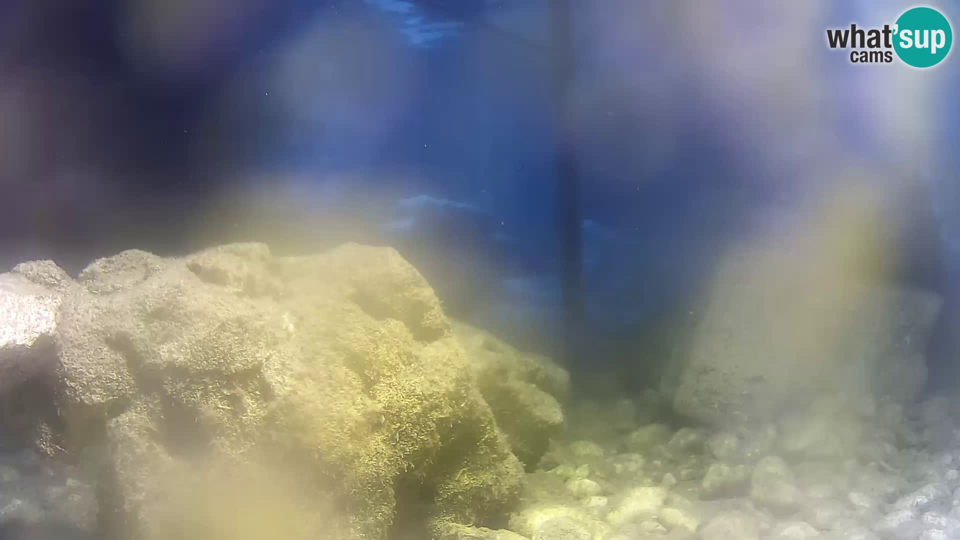Webcam de l’aquarium marin extérieur de Rogoznica Croatie