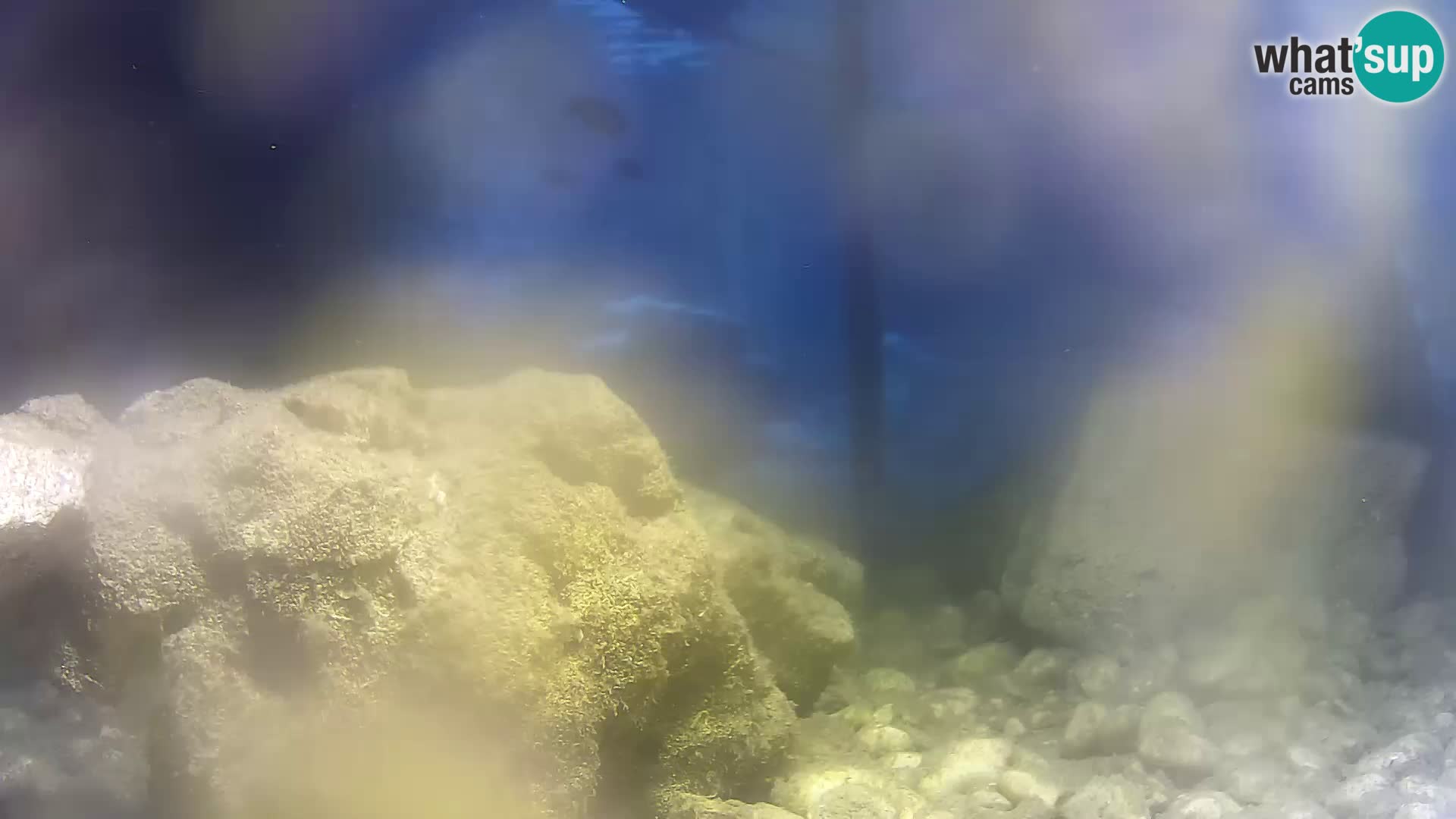 Marine Aquarium im Freien Rogoznica webcam Kroatien