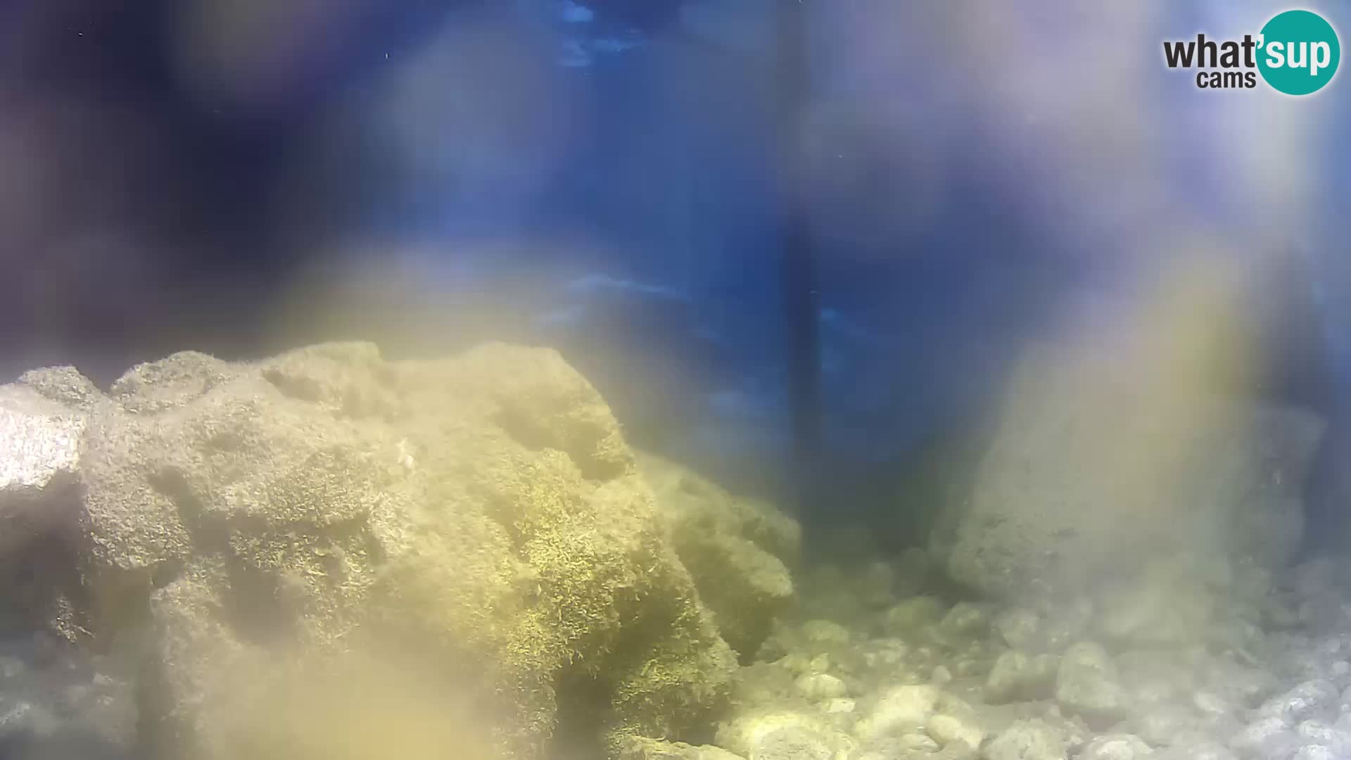Outdoor Marine Aquarium Rogoznica webcam Croatia