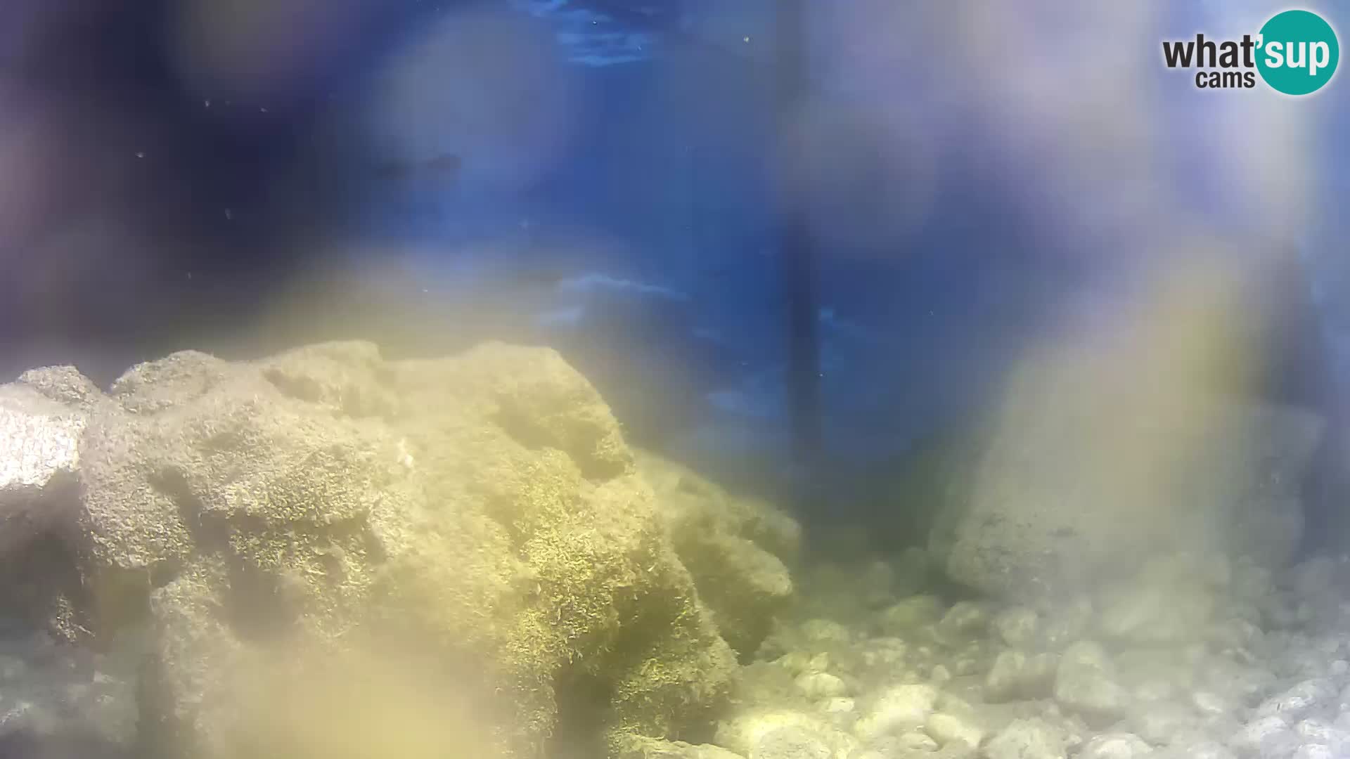 Webcam de l’aquarium marin extérieur de Rogoznica Croatie