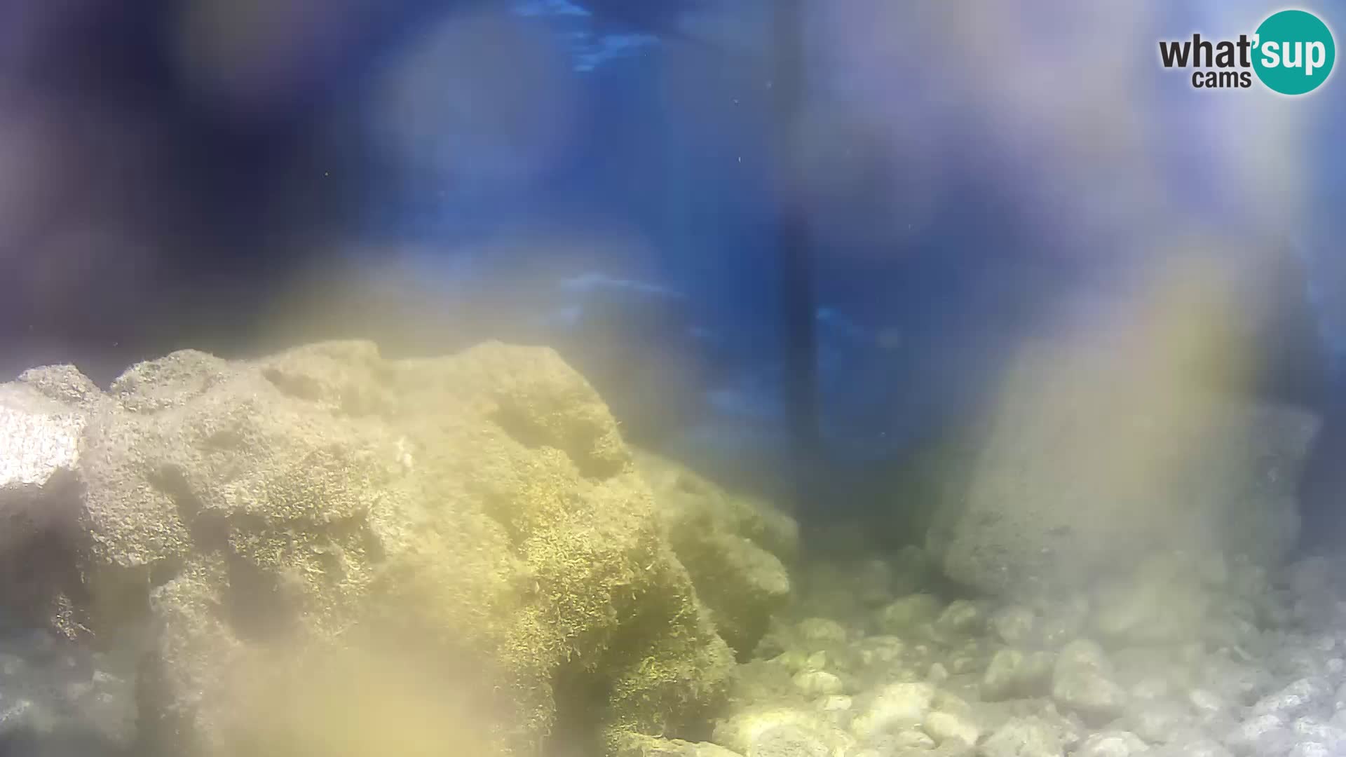 Outdoor Marine Aquarium Rogoznica webcam Croatia