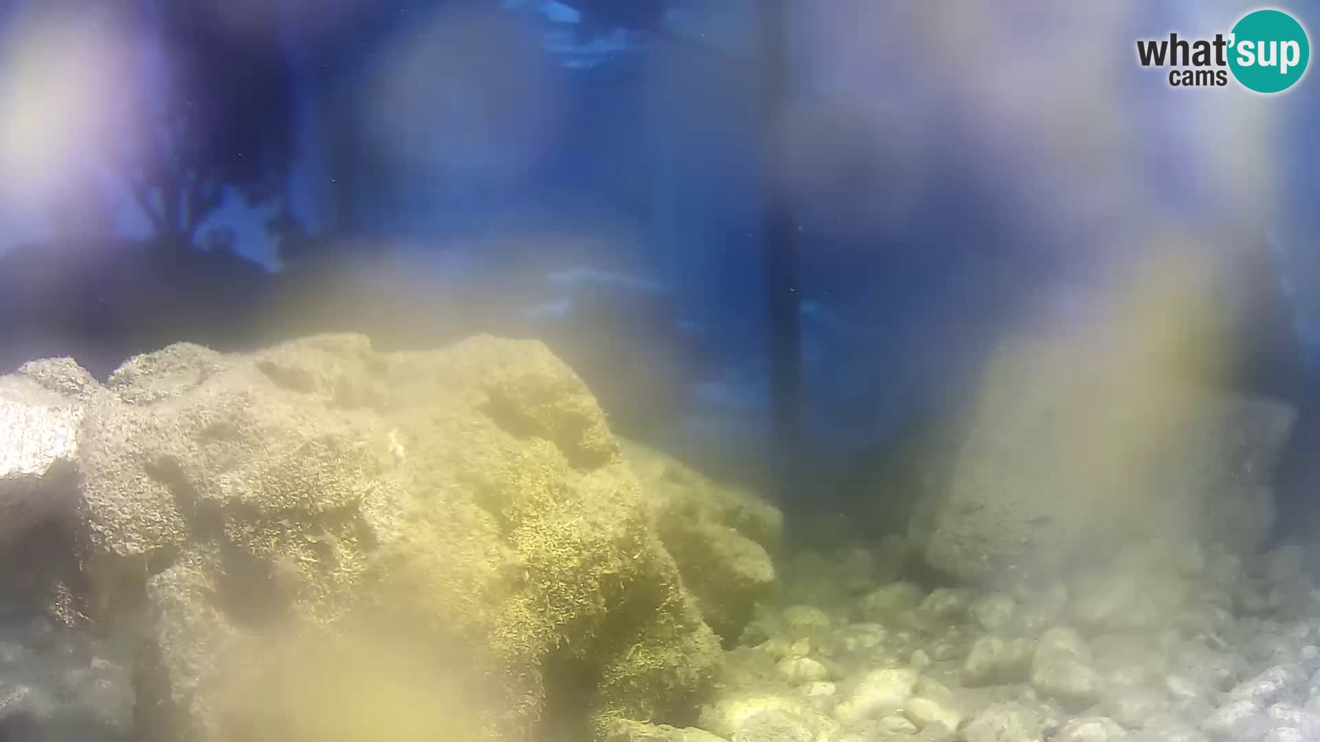Outdoor Marine Aquarium Rogoznica webcam Croatia