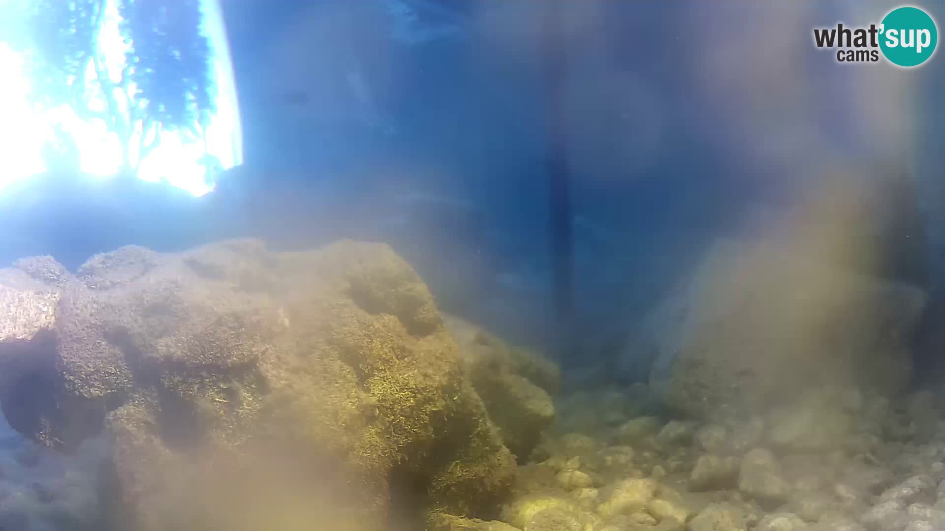 Marine Aquarium im Freien Rogoznica webcam Kroatien