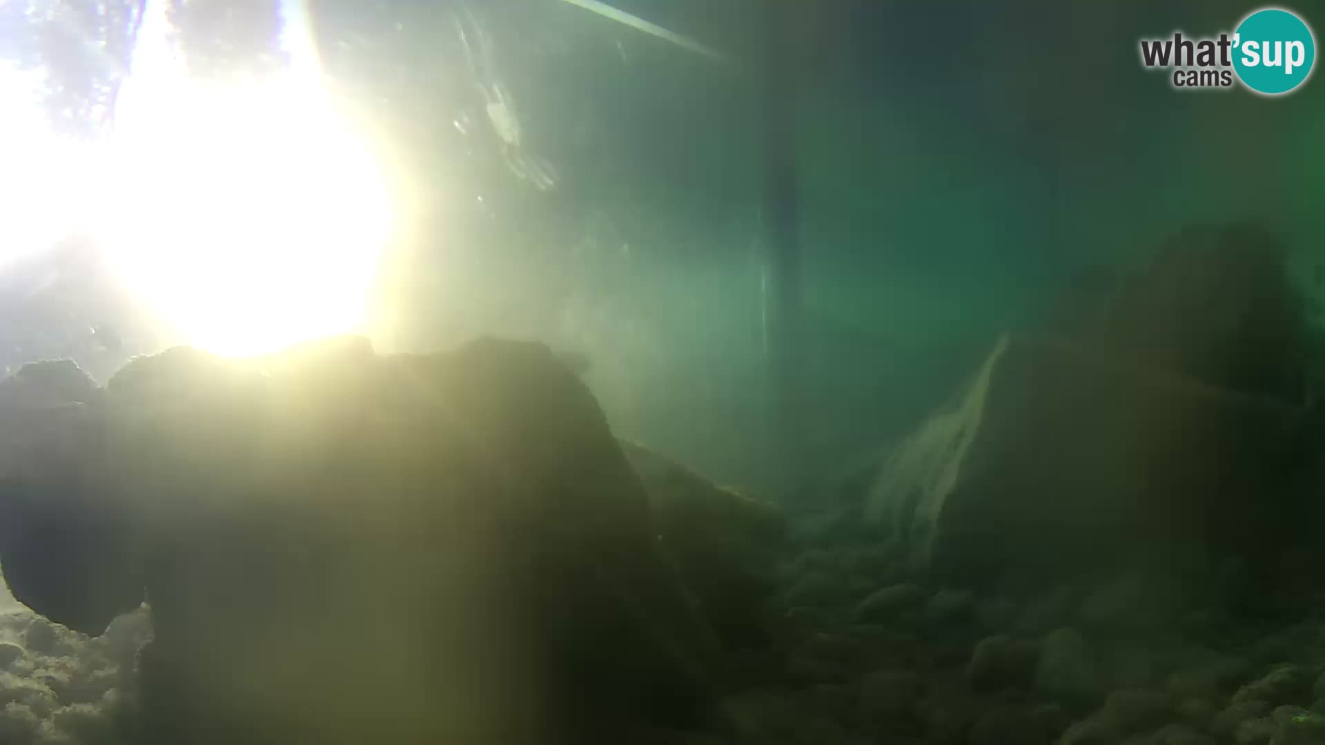 Webcam de l’aquarium marin extérieur de Rogoznica Croatie