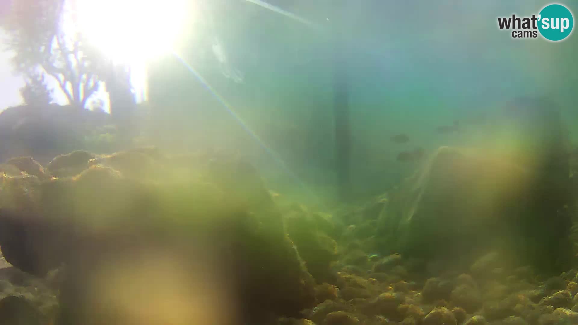Webcam de l’aquarium marin extérieur de Rogoznica Croatie