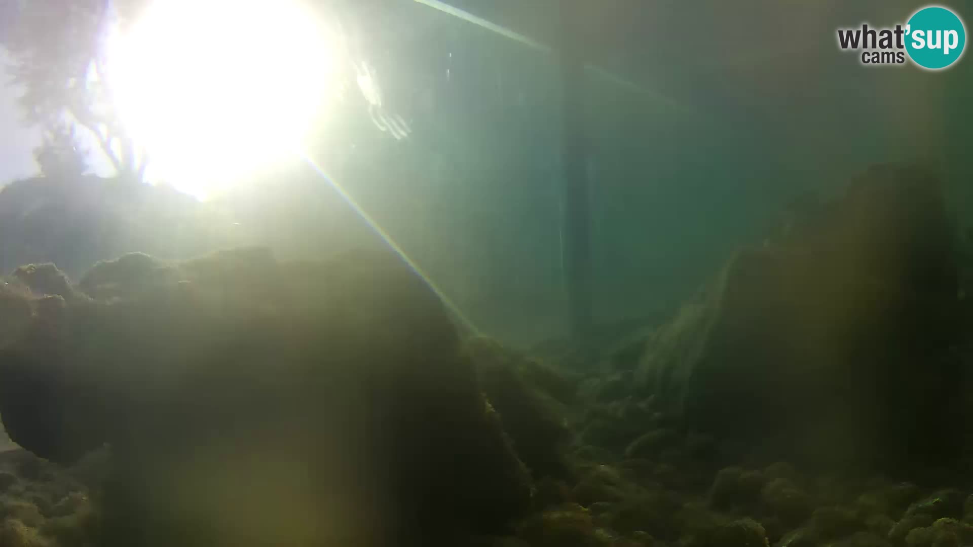 Zunanji morski akvarij Rogoznica spletna kamera Hrvaška