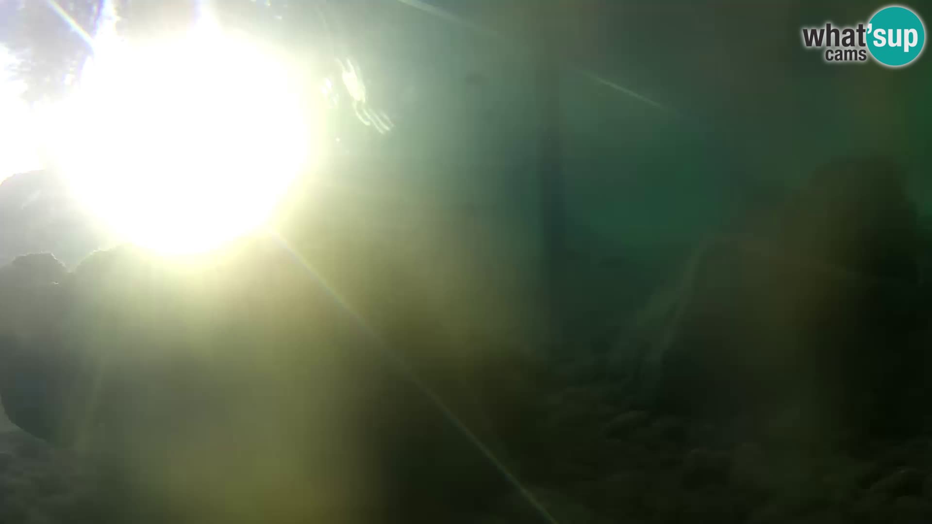 Acuario marino al aire libre Rogoznica webcam Croacia