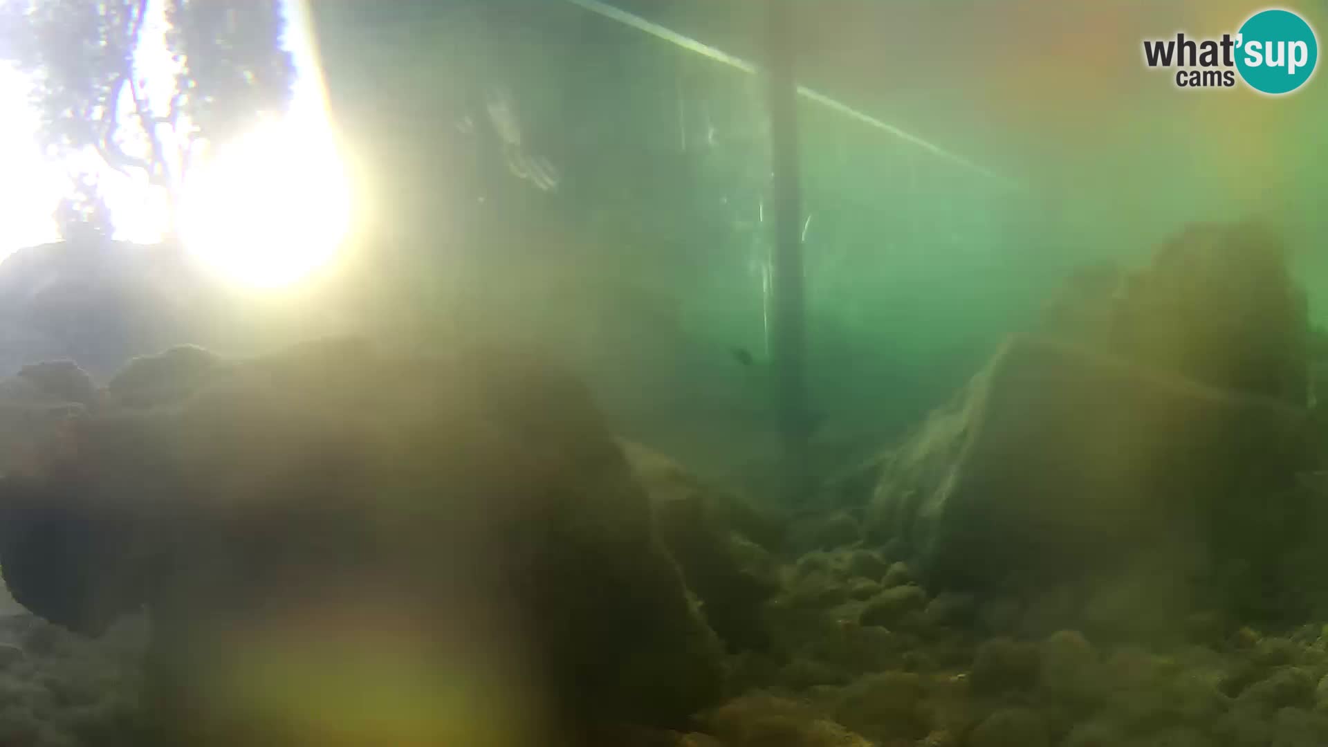Outdoor Marine Aquarium Rogoznica webcam Croatia