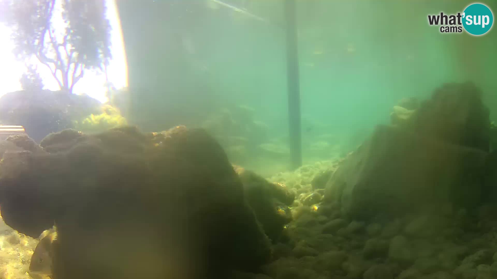 Marine Aquarium im Freien Rogoznica webcam Kroatien