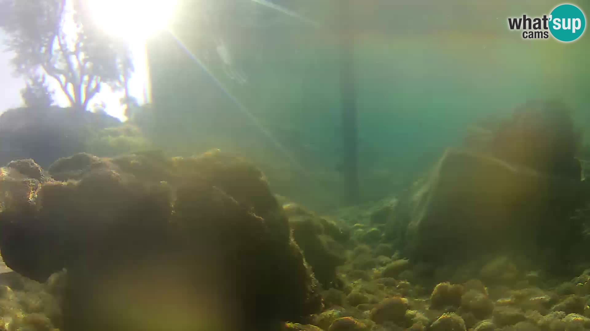 Outdoor Marine Aquarium Rogoznica webcam Croatia