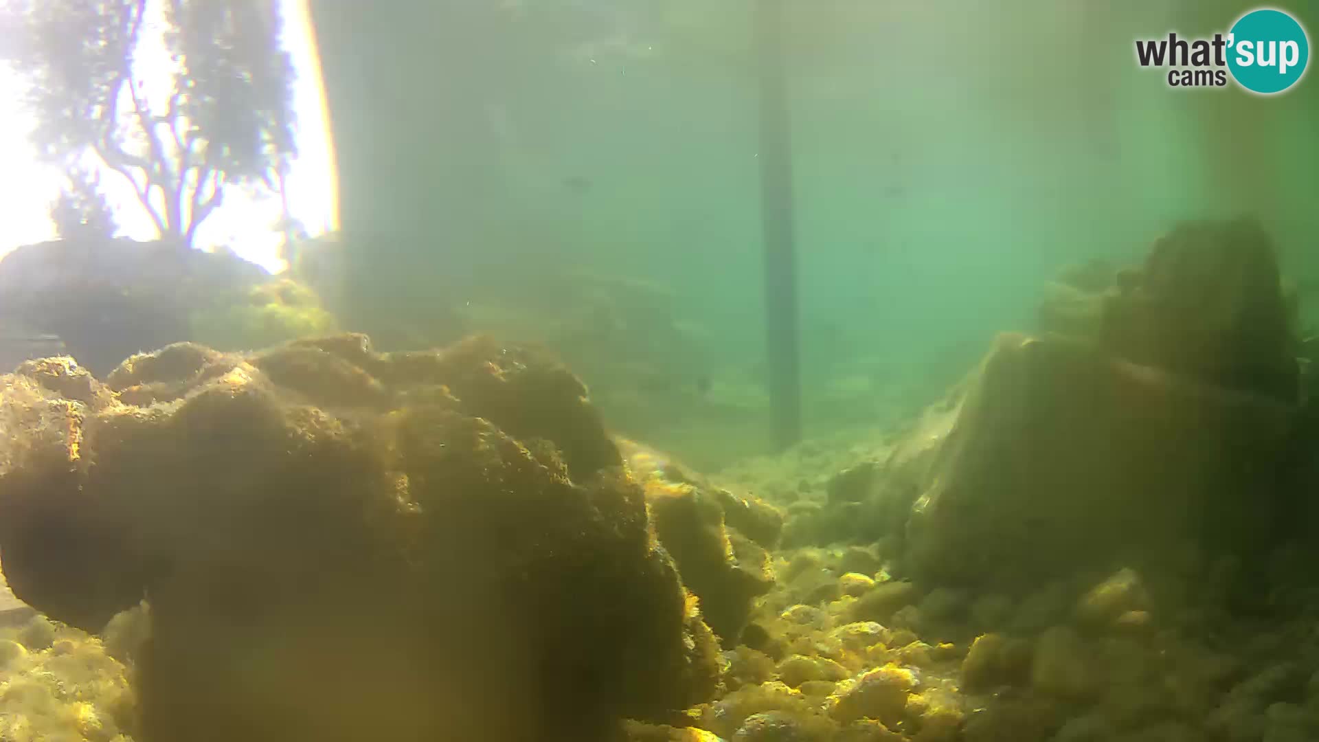 Webcam de l’aquarium marin extérieur de Rogoznica Croatie
