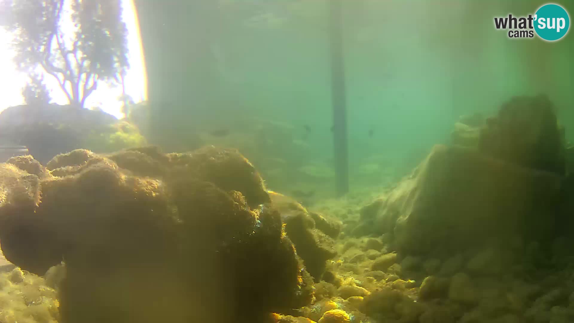 Outdoor Marine Aquarium Rogoznica webcam Croatia