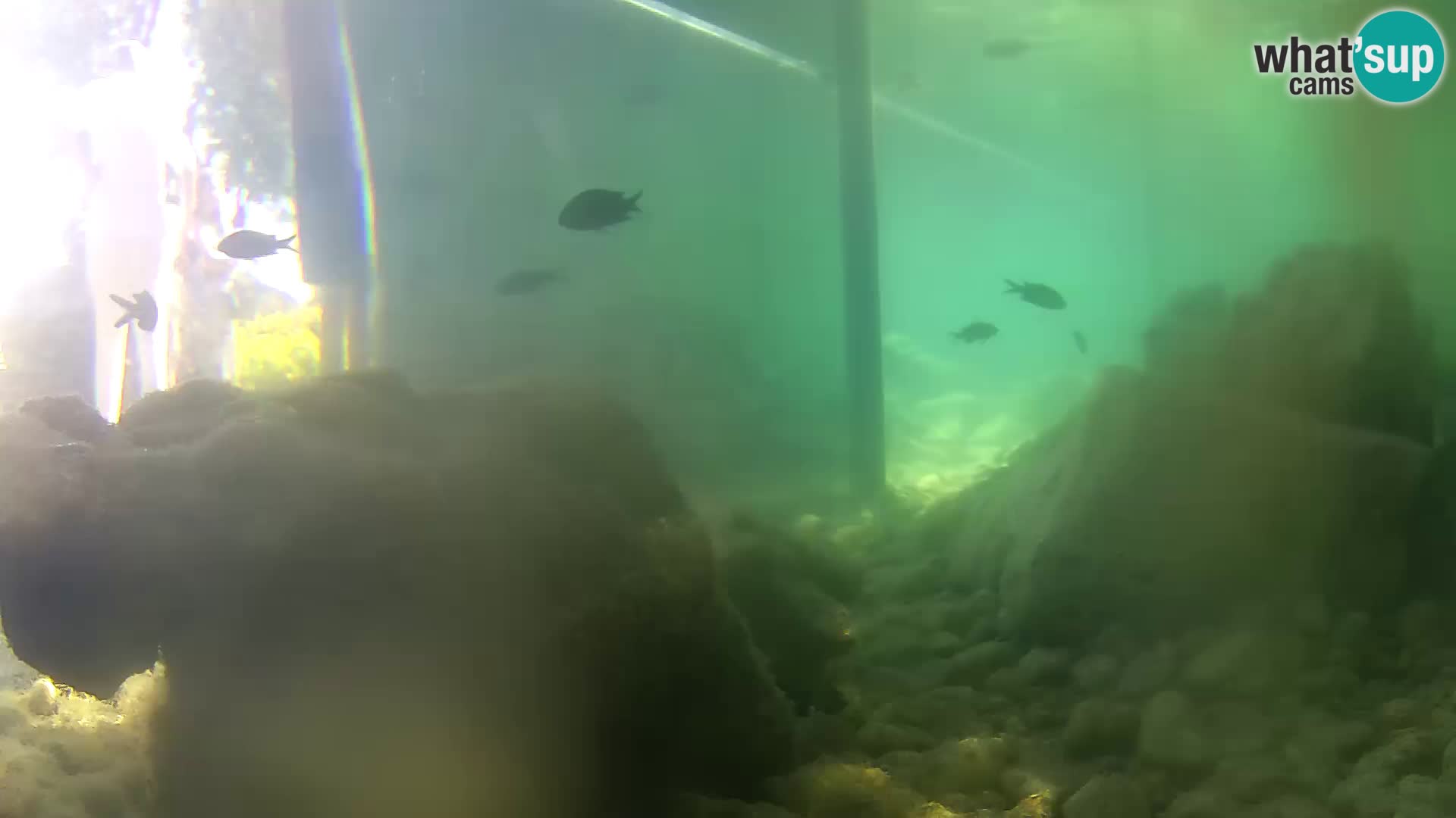 Marine Aquarium im Freien Rogoznica webcam Kroatien