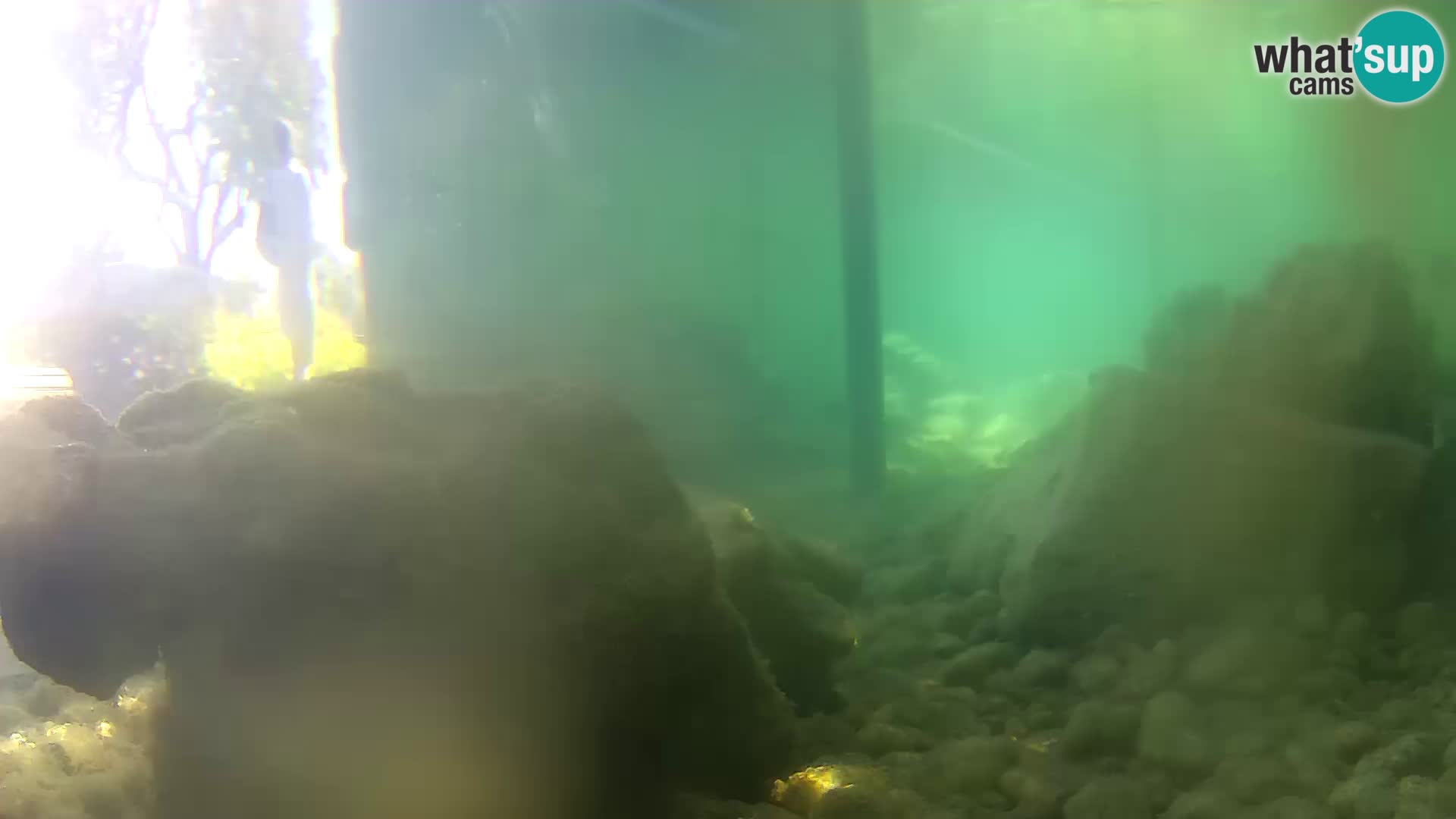 Outdoor Marine Aquarium Rogoznica webcam Croatia