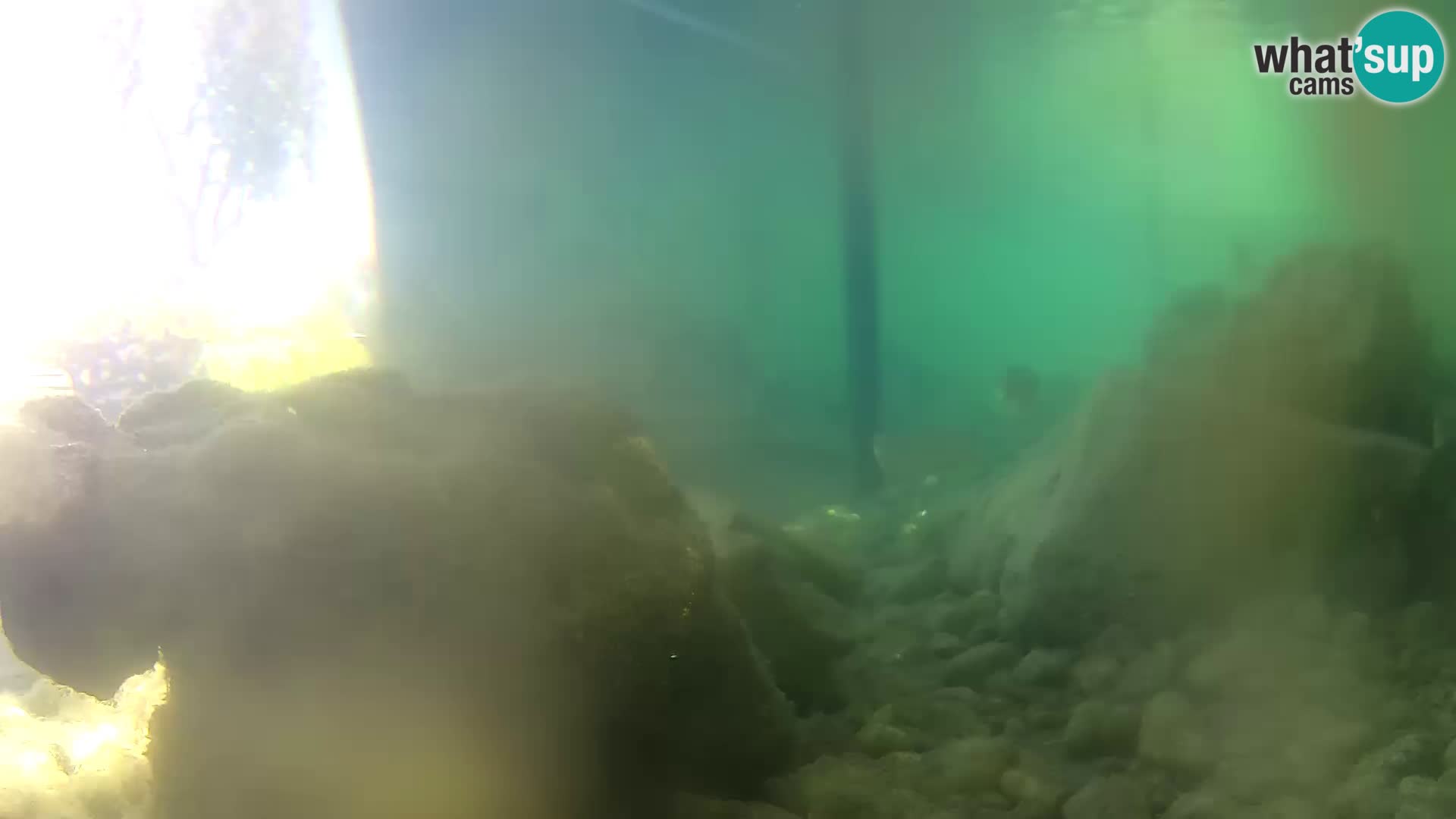 Aquario marino esterno –  Rogoznica livecam Croazia