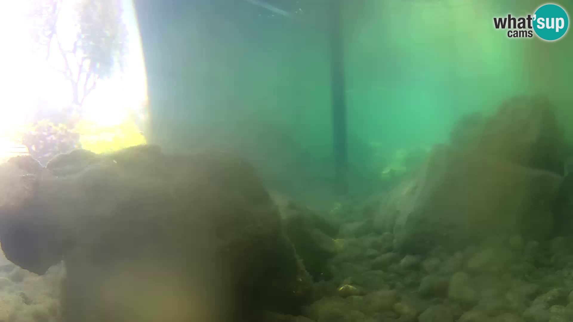 Outdoor Marine Aquarium Rogoznica webcam Croatia